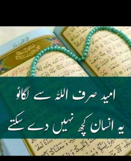 Beshak 100%