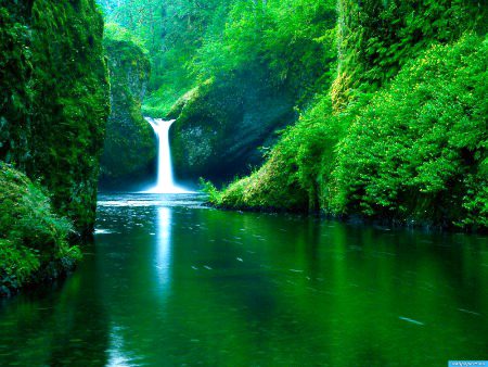%natural seen in pakistan%