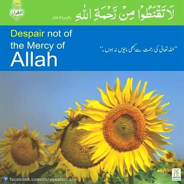 Islamic Quotes image