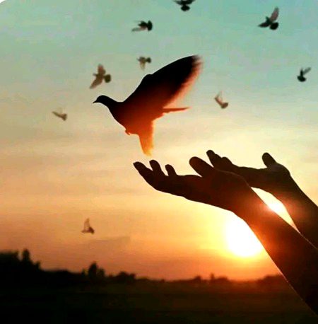 Beautiful Nature image