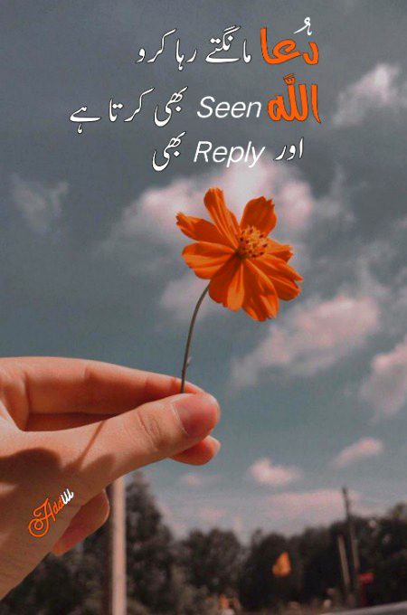 Islamic Quotes image