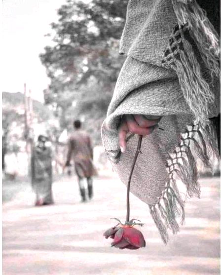 تیرے بغیر اس مو سم میں اب مزہ کہاں اب کا نٹوں کی طرح چُبھتی ہیں دل میں بارش کی بو ندیں۔