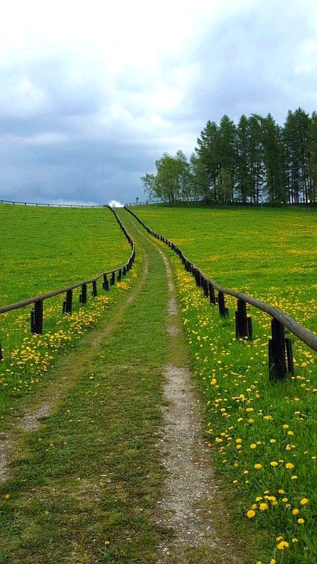 BEAUTIFUL NATURE
