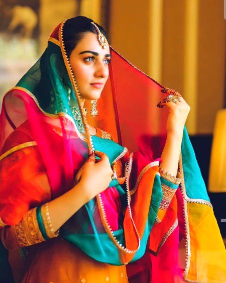 Pakistani Celebs image