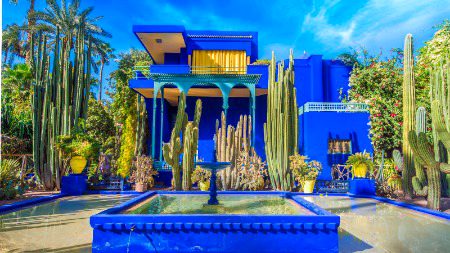 Beautiful Nature image