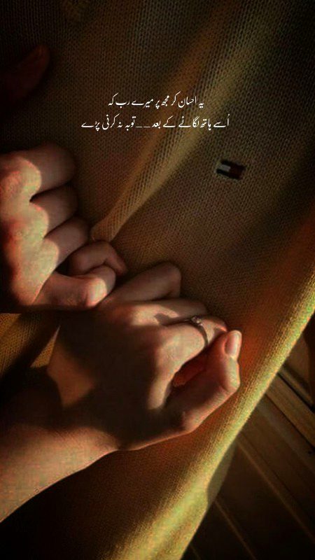 Saanaam ❣️❣️