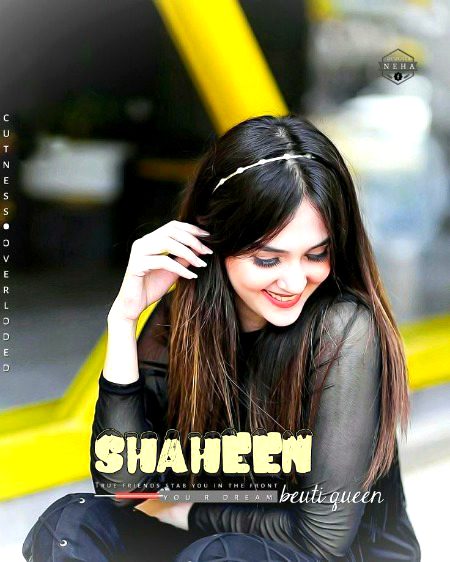 چاند عید کا دلکش ہے مانتا ہوں حسن جاناں سے مگر ہار جائے گا