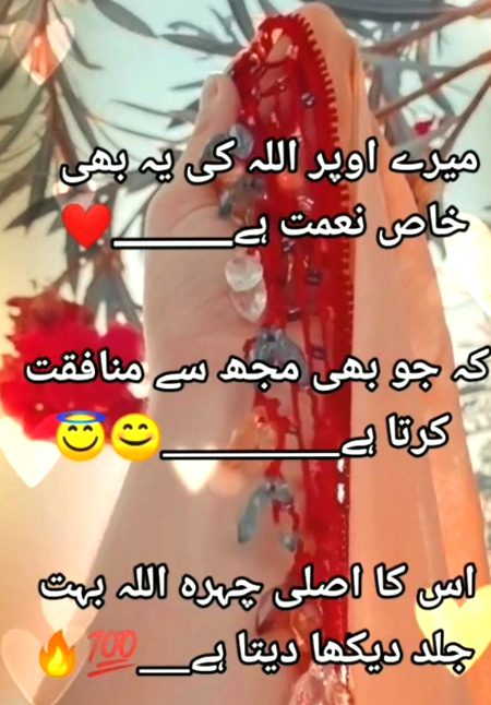 Zindgi bhot sasti hy...lkn """zindgi guzarny ke treeqy bhot nehngy hn