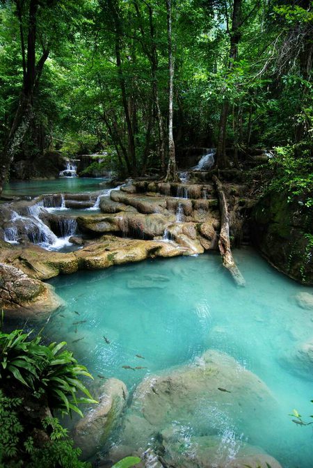Beautiful Nature image