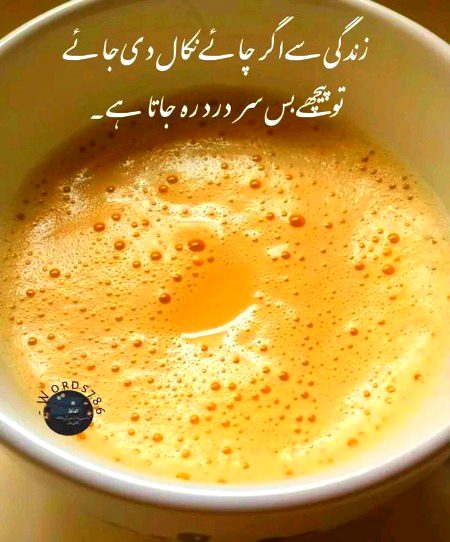 Memes & Satire image