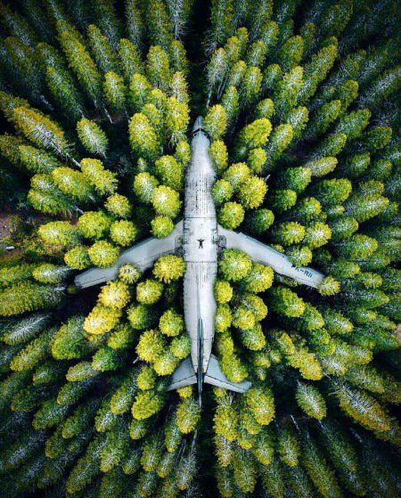 Beautiful Nature image