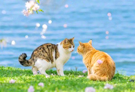 Beautiful Nature image