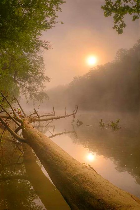 Beautiful Nature image