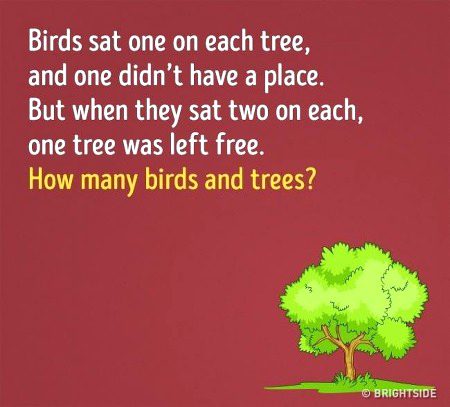 Riddles & Puzzles image