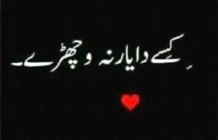 Kisy da yar na vichry 😭😭😭