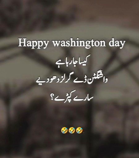 Memes & Satire image