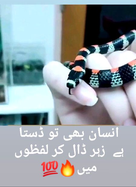 Insan bhi....🔥💯