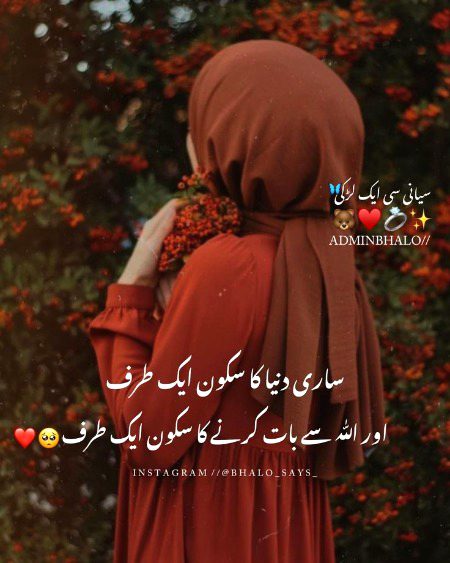 Islamic Quotes image