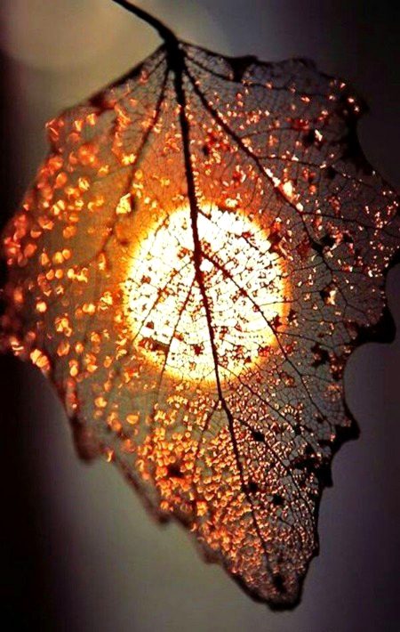 Charming Moonlight photography 💕💕