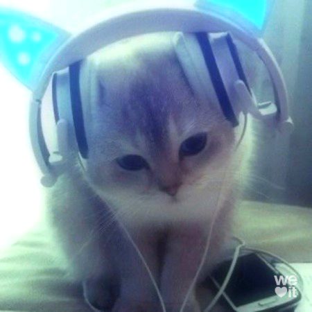 Beautiful Nature image