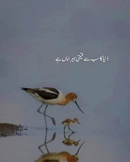 Life Advice image