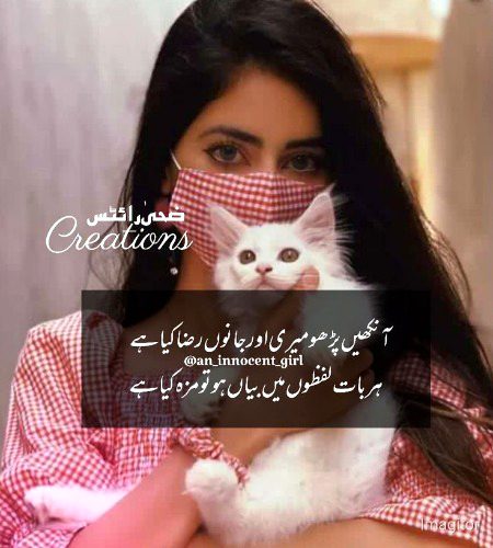 Attitude Poetry image