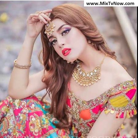 Pakistani Celebs image