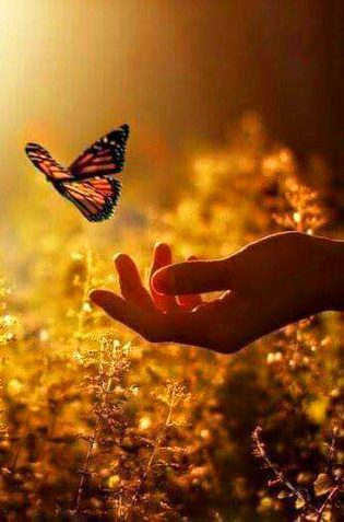 Beautiful Nature image