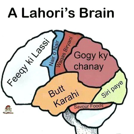 Memes & Satire image
