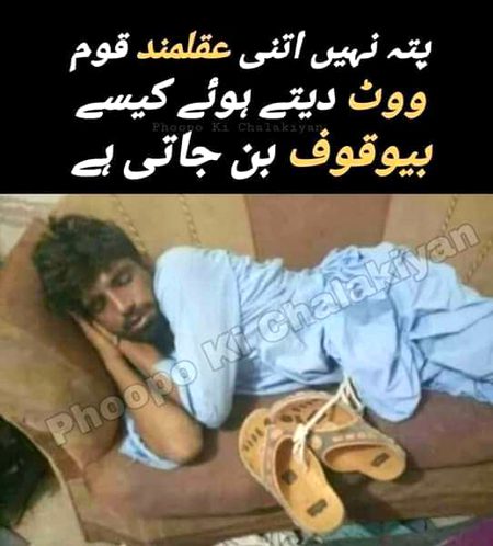 Memes & Satire image