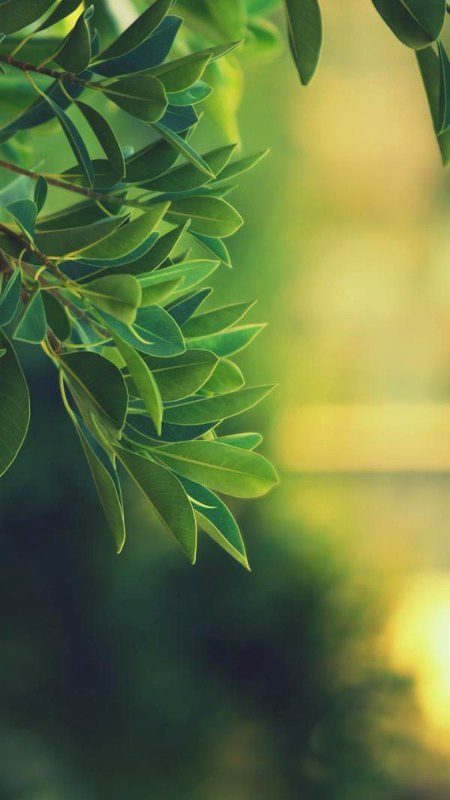 Beautiful Nature image