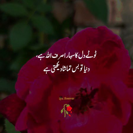 maahamkhan 🥀