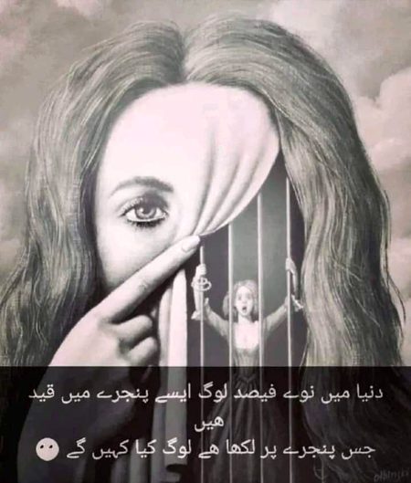 Memes & Satire image