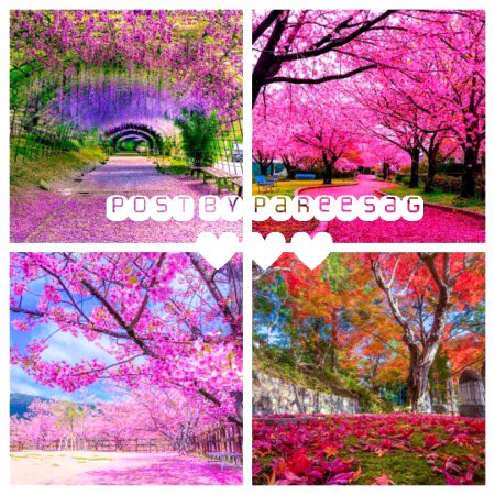 Beautiful nature❤️❤️❤️