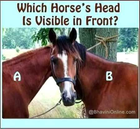 Riddles & Puzzles image