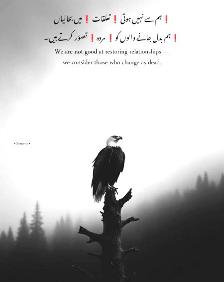 Attitude Poetry image