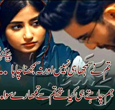 لکھا تھا اِک کتاب میں ہر مسئلے کا حل
اور آخری سطور میں لکھا تھا خود کشی
پہلے بدن پہ ہِجر مسلّط کیا گیا   
پھر چیخ کر کہا گیا " اب کاٹ زندگی "