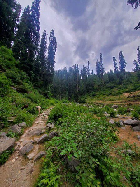 Beautiful Nature image