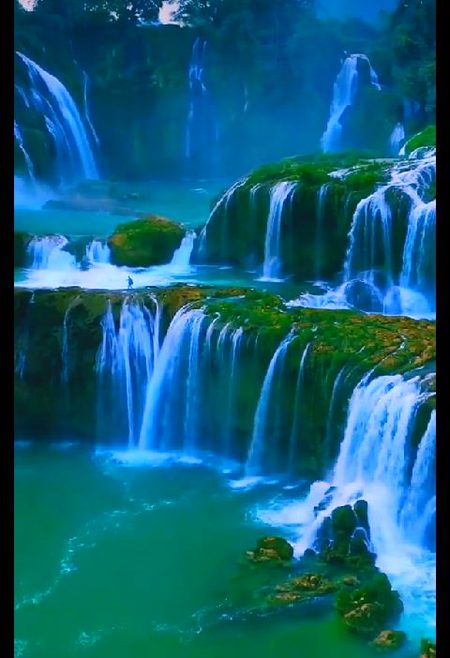 Beautiful Nature image