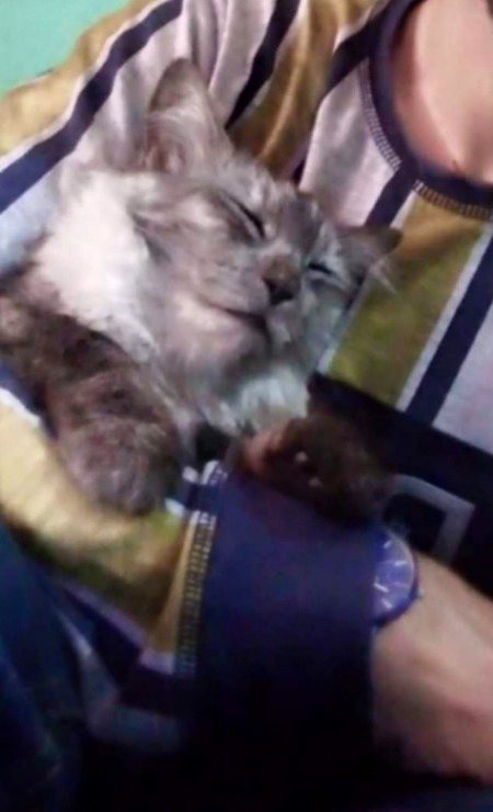 کچھ یادیں بھولی نہیں جاتی محسوس کی جاتی ہیں 😇💔آپ کو دکھ تب ہوتا ہے جب گہری لگاؤ رکھنے والی چیز اپ سے دور جاتی ہے