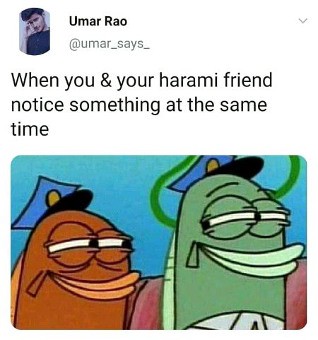 Memes & Satire image