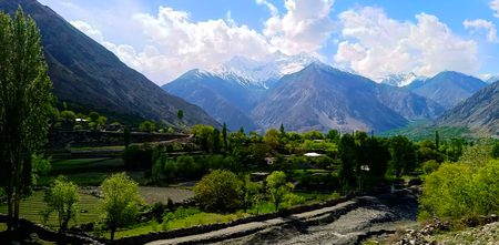 Beautiful Nature image