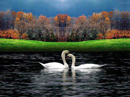 Beautiful Nature image