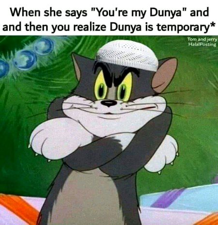 Memes & Satire image