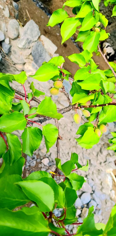 Beautiful Nature image