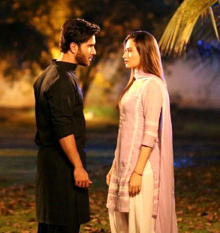 Pakistani Celebs image