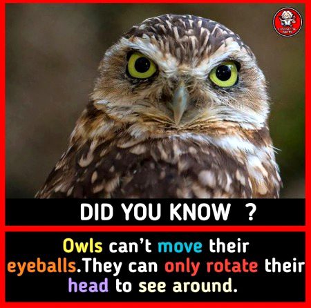 Interesting Posts image