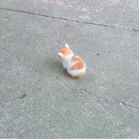 Beautiful Nature image