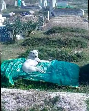 Dosto plz qabar pr quran likha howa kapda na dala kro