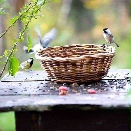 Beautiful Nature image